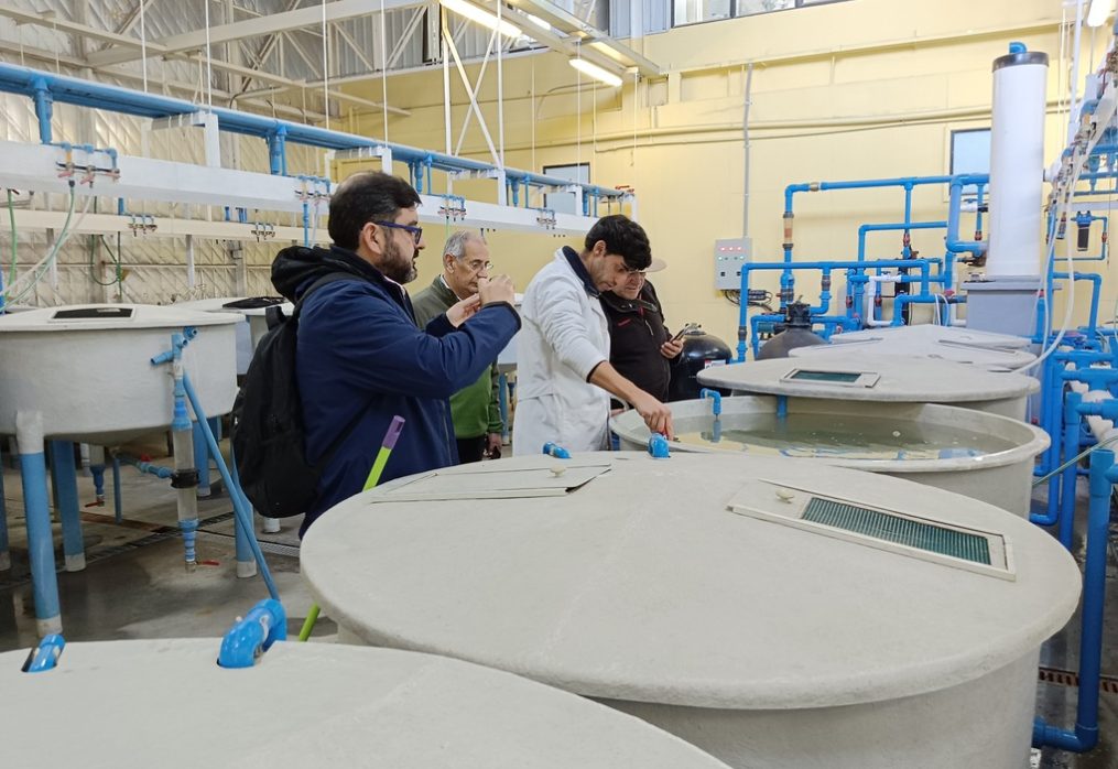 Con el PTEC-INVA como protagonista: Chile albergará seminario de nutrición de peces