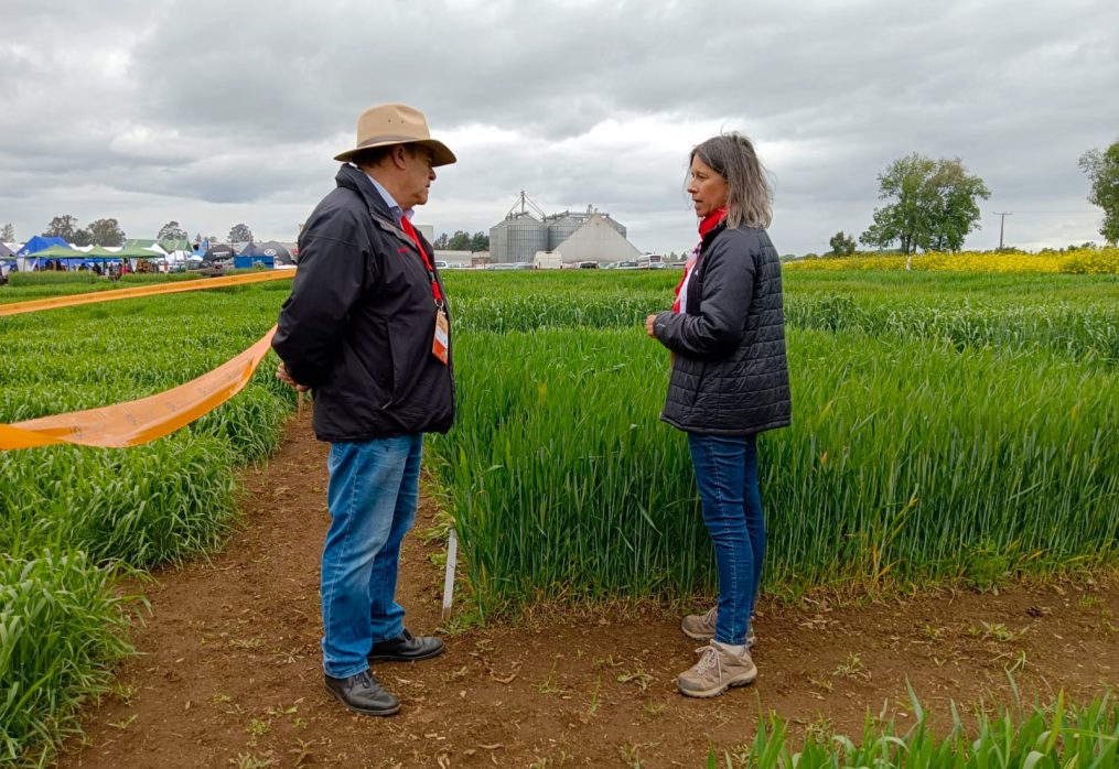PTEC-INVA: Un encadenamiento agroacuícola que ya está en marcha