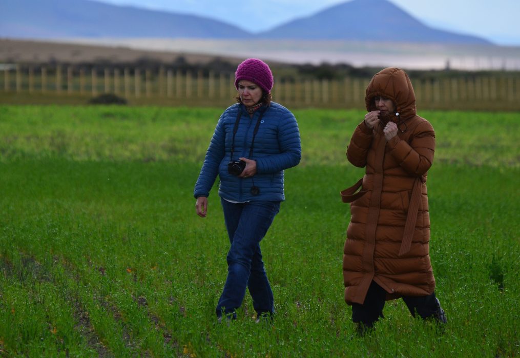 “Creando una tercera industria”: Seminario internacional reunirá al ecosistema agroacuícola