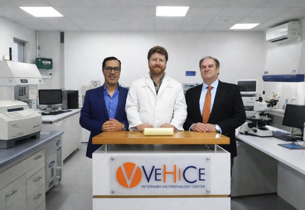 En AquaSur: Difundirán los alcances del uso de insumos vegetales en la salmonicultura